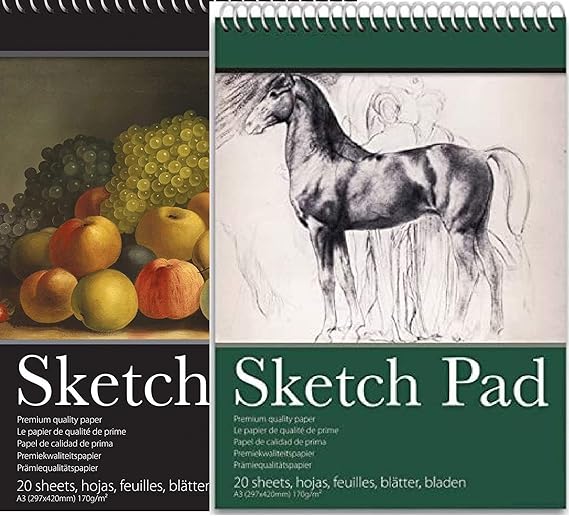 2 Packs of 170 GSM A3 Wiro Sketch Book Drawing Paper - Sketch Pad Kids Coloring Book and Art Paper - Easy to Use Doodle Pad with (A3)